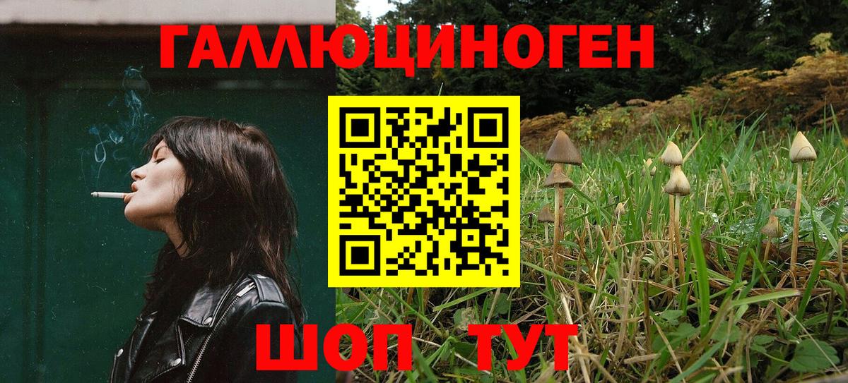 Котельники  Галлюциногенные грибы мицелий  Вход с VPN 